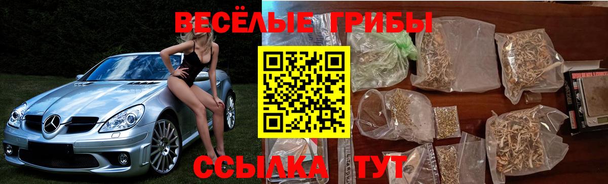 Галлюциногенные грибы Cubensis Губкинский
